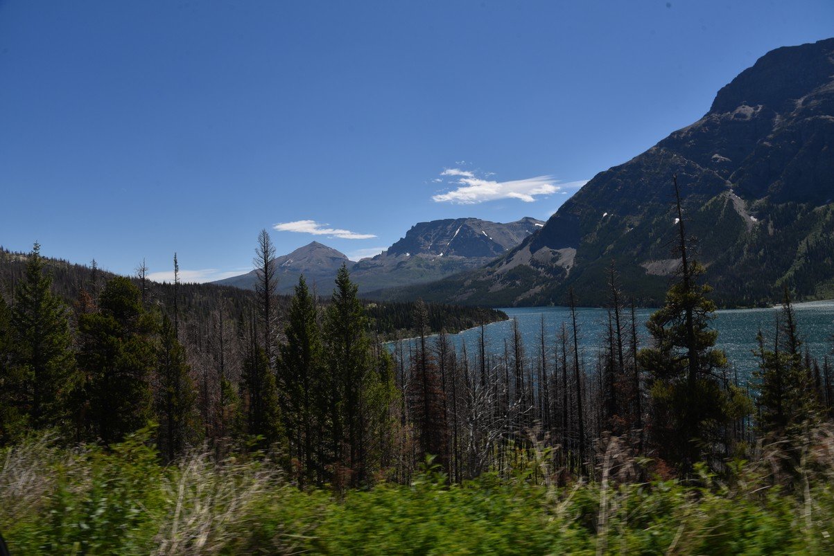 dsc_5476_fs.jpg
