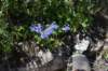 dsc_5479_fs_small.jpg