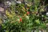 dsc_5497_fs_small.jpg