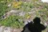 dsc_5499_fs_small.jpg