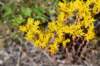 dsc_5500_fs_small.jpg