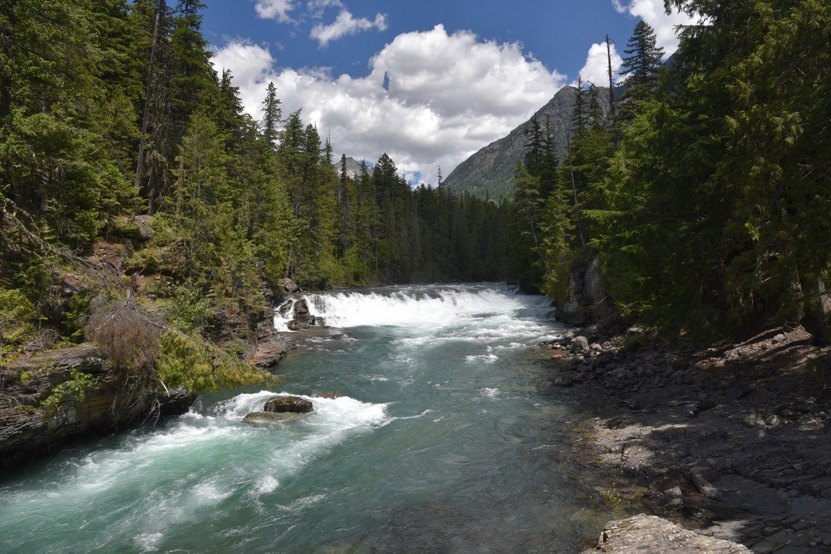 dsc_5694_fs.jpg