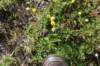 dsc_5723_fs_small.jpg