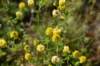 dsc_5724_fs_small.jpg