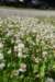 dsc_5726_fs_small.jpg