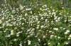 dsc_5727_fs_small.jpg