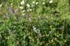 dsc_5729_fs_small.jpg