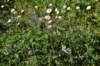 dsc_5730_fs_small.jpg