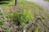 dsc_5731_fs_small.jpg