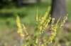 dsc_5732_fs_small.jpg