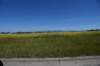 dsc_5747_fs_small.jpg