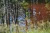 dsc_5760_fs_small.jpg