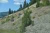 dsc_5821_fs_small.jpg