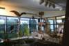 dsc_5897_fs_small.jpg