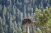 dsc_5975_fs_small.jpg