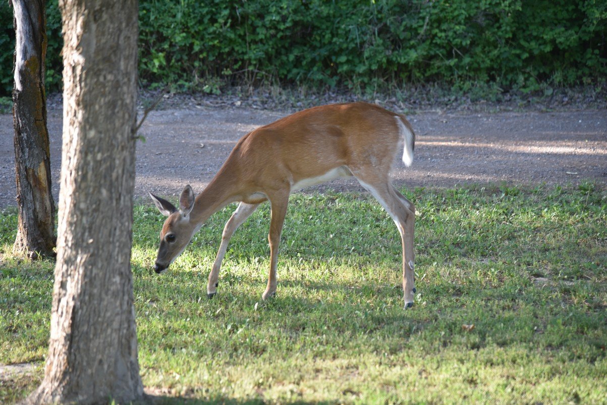 dsc_5987_fs.jpg