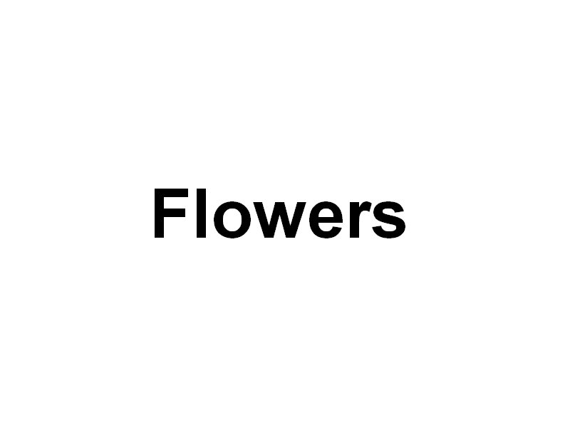 flowers.jpg