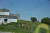 dsc_9100_fs_small.jpg