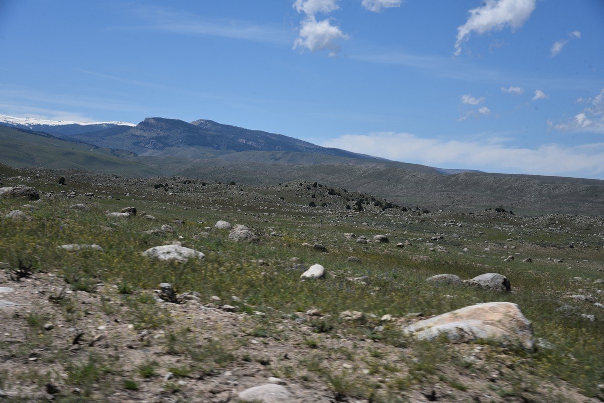 dsc_9144_fs.jpg
