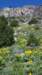 _101630_fs_small.jpg
