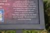 dsc_9253_fs_small.jpg