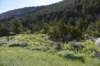 dsc_9255_fs_small.jpg