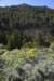 dsc_9256_fs_small.jpg