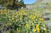 dsc_9257_fs_small.jpg