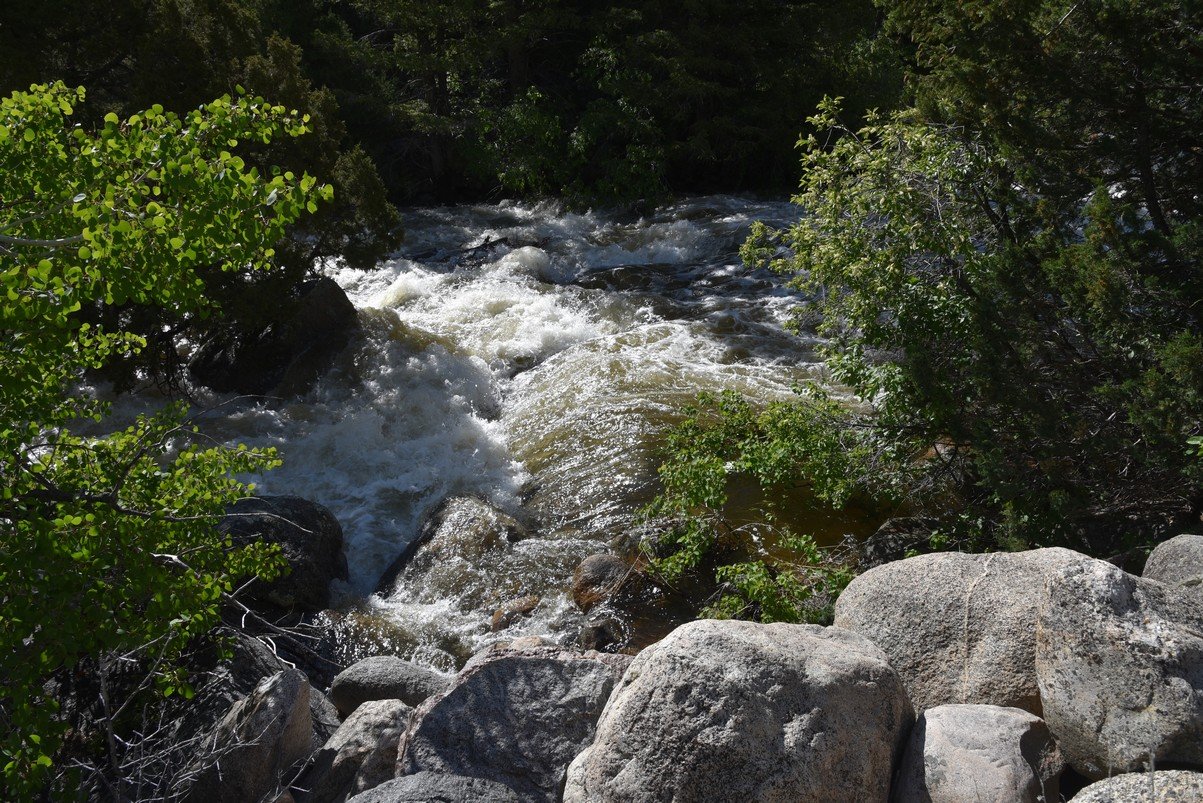 dsc_9262_fs.jpg