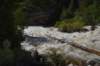dsc_9300_fs_small.jpg