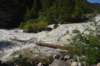 dsc_9301_fs_small.jpg
