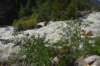 dsc_9306_fs_small.jpg