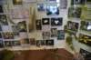 dsc_9318_fs_small.jpg