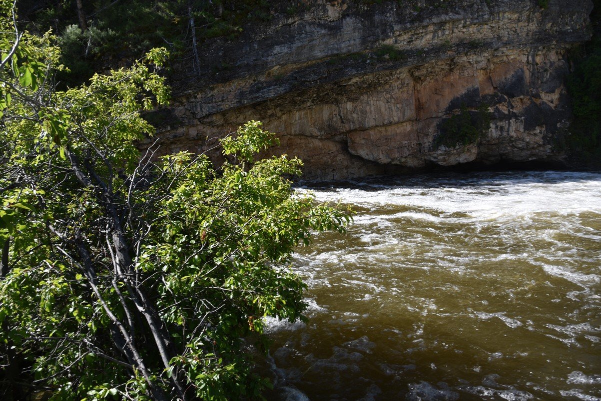 dsc_9330_fs.jpg