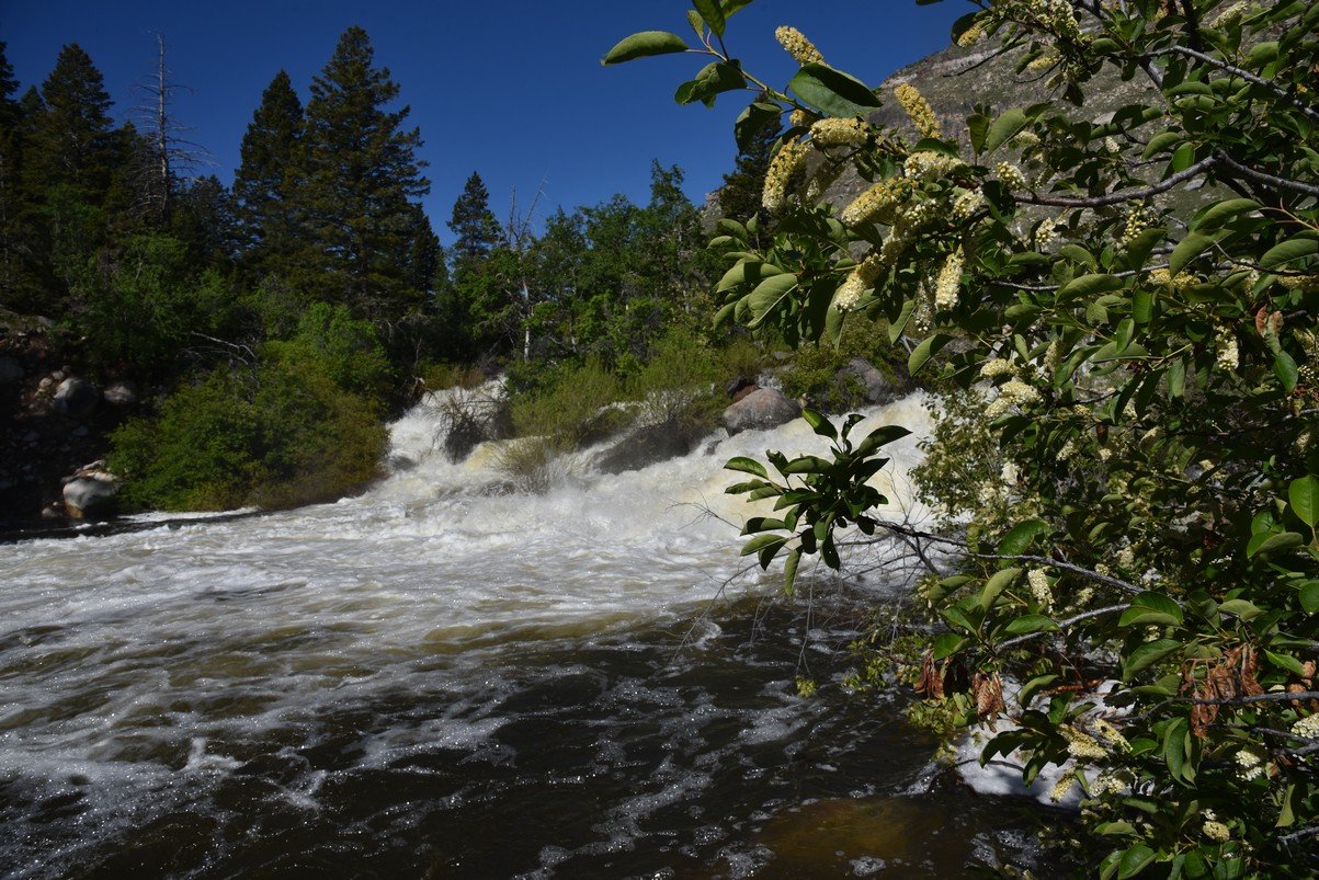 dsc_9335_fs.jpg