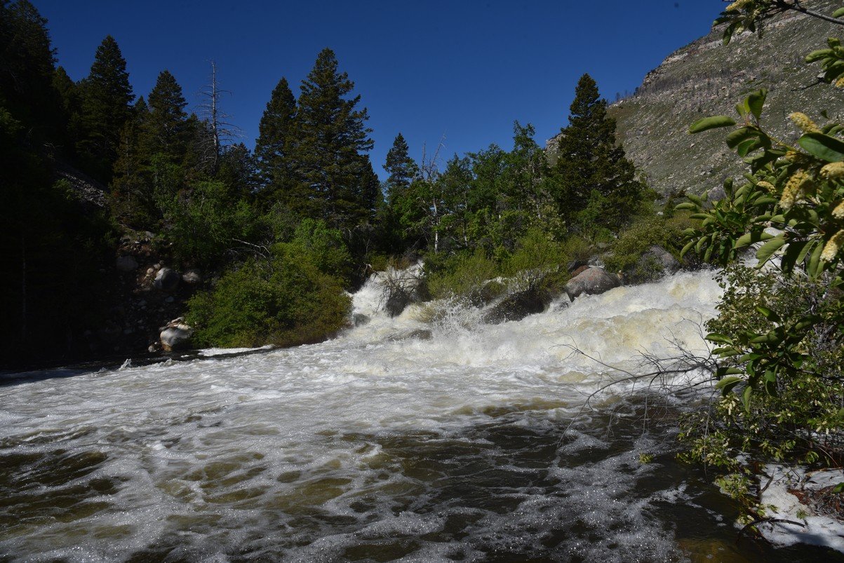 dsc_9336_fs.jpg