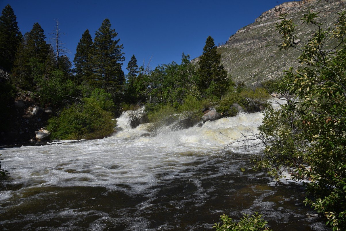 dsc_9337_fs.jpg