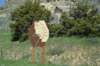 dsc_9341_fs_small.jpg