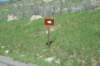 dsc_9342_fs_small.jpg