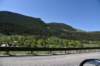 dsc_9345_fs_small.jpg