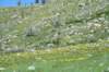 dsc_9347_fs_small.jpg