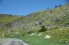 dsc_9349_fs_small.jpg