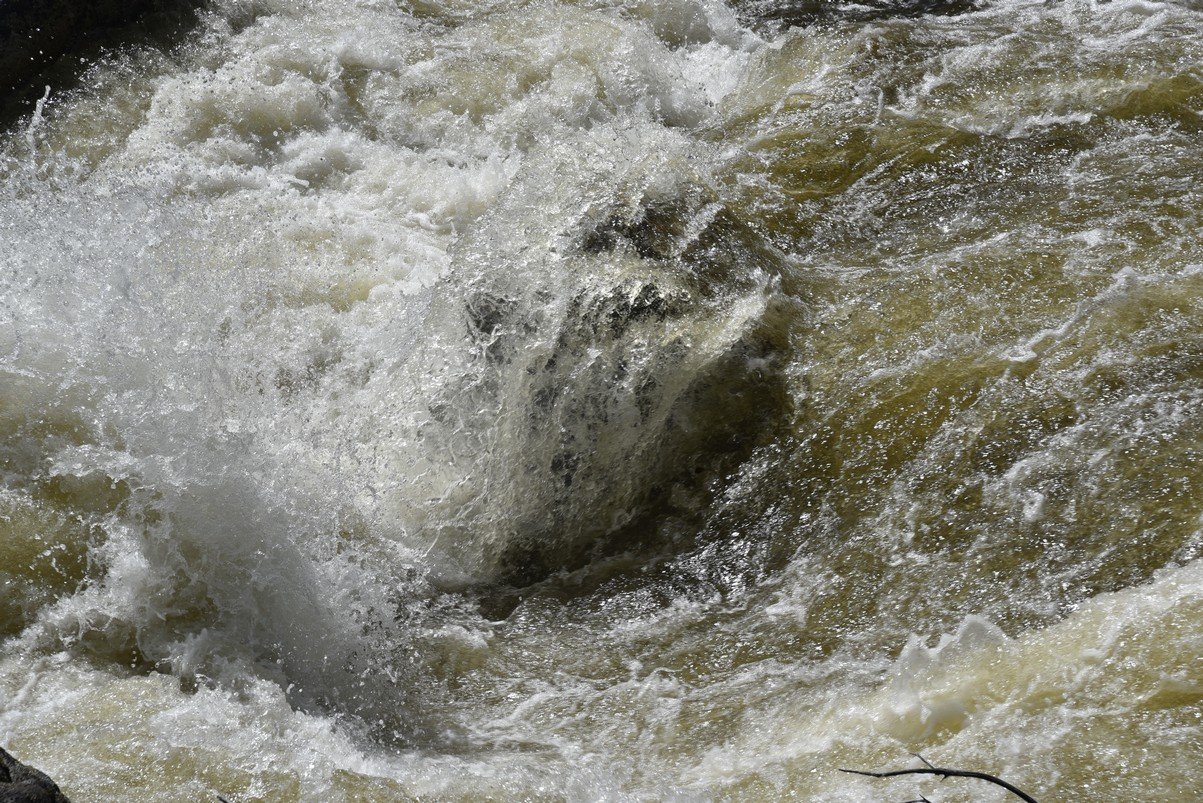 dsc_9408_fs.jpg