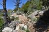 dsc_9419_fs_small.jpg