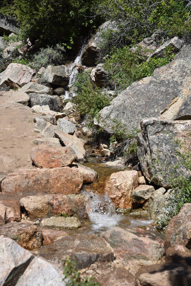 dsc_9420_fs.jpg