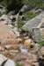 dsc_9420_fs_small.jpg