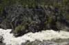 dsc_9431_fs_small.jpg