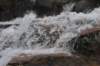 dsc_9524_fs_small.jpg