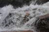 dsc_9525_fs_small.jpg