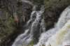 dsc_9533_fs_small.jpg